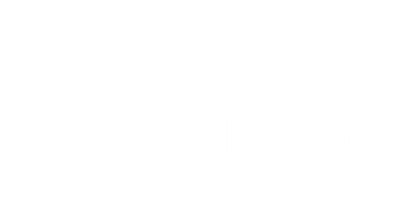 ViralNation logo